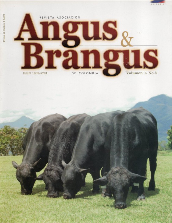 Angus &amp; Brangus No.3