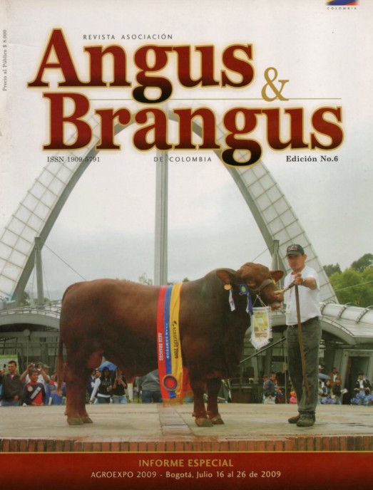 Angus &amp; Brangus No.6