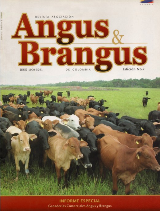Angus &amp; Brangus No.7