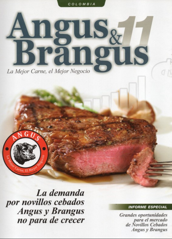 Angus &amp; Brangus No.11